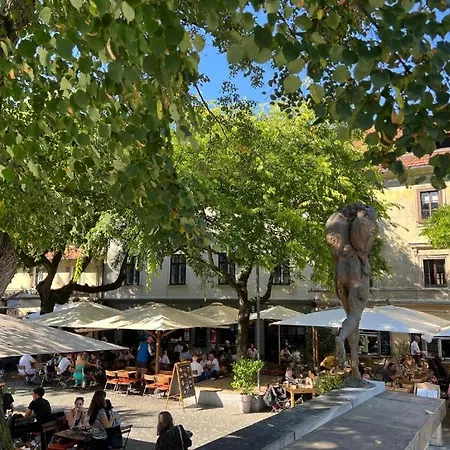 Oasis In The Centre Appartamento *